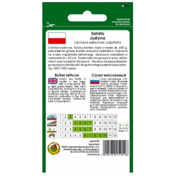 nasiona Sałata masłowa Justyna pnos377